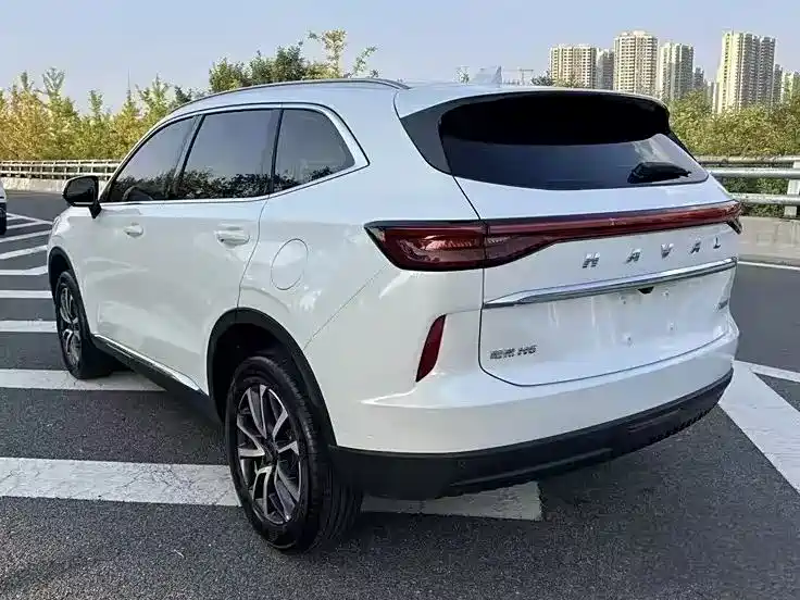 Haval H6 2022 3rd Gen 1.5T Auto 2WD Pro фото 4