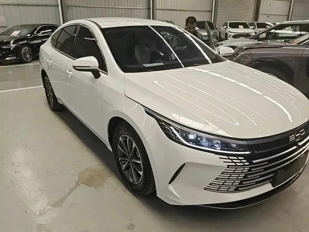 BYD Destroyer 05 2024 Glory Edition DM-i 55KM Luxury фото 4
