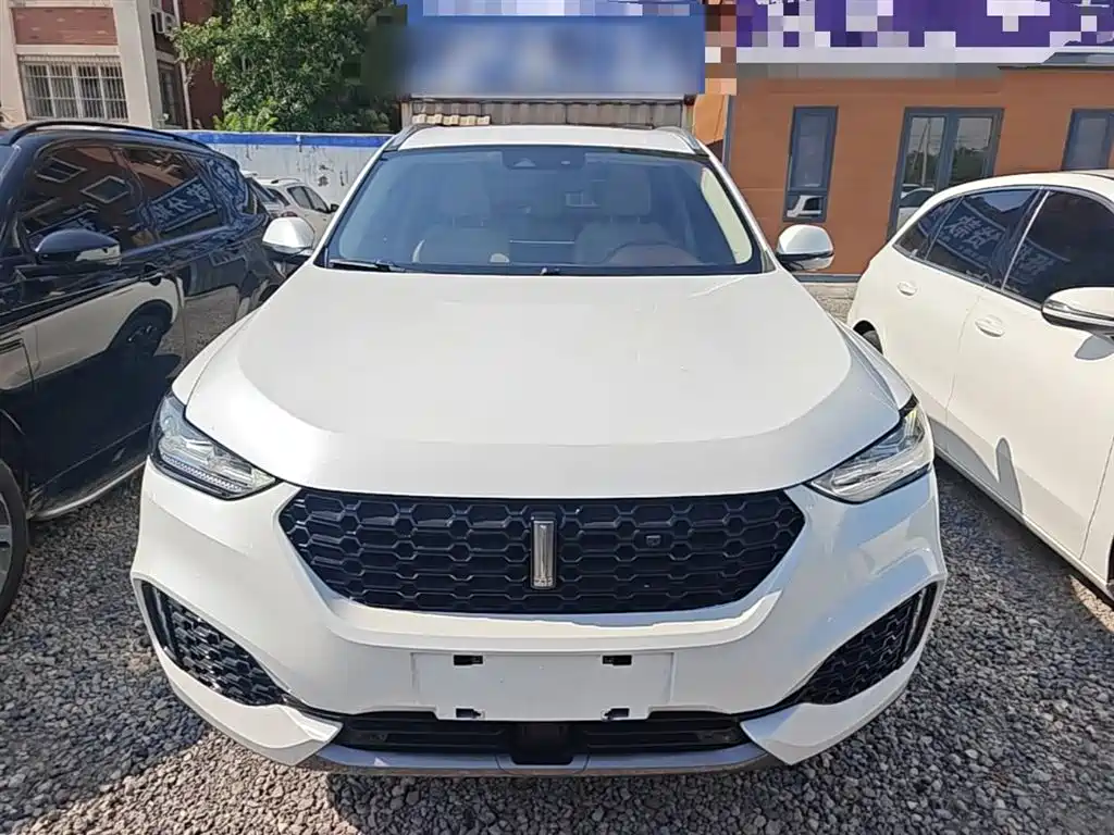Фото 3 - WEY VV6