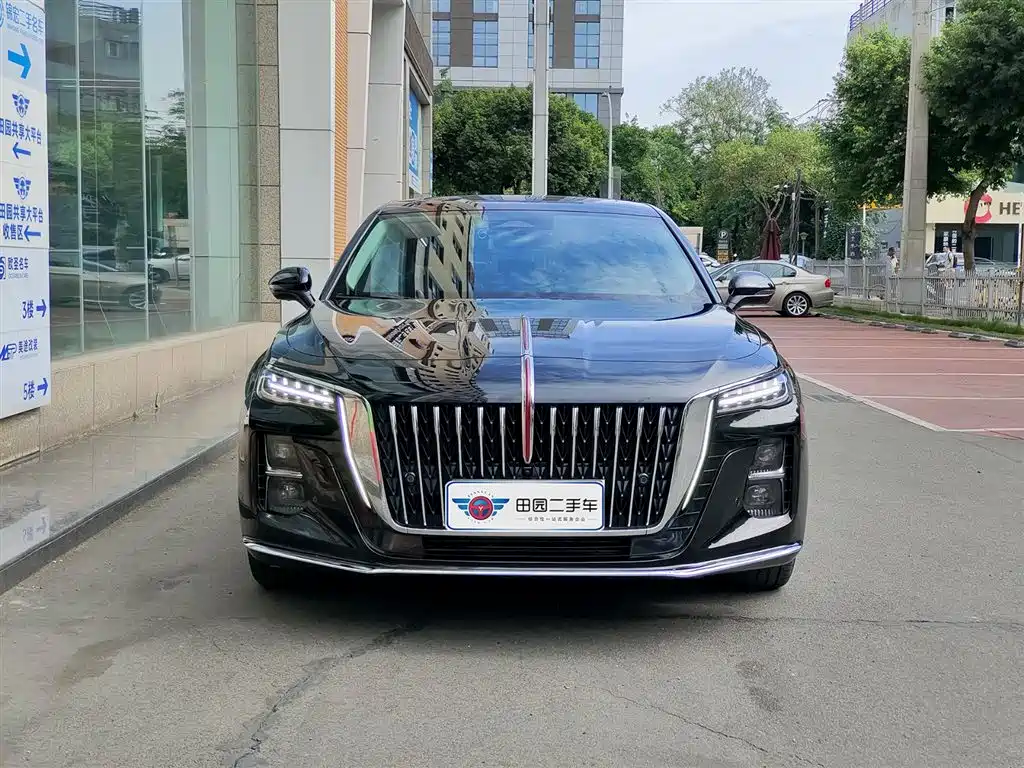 Hongqi H5 2023 2.0T Auto Smart Connect Flag Comfort фото 2