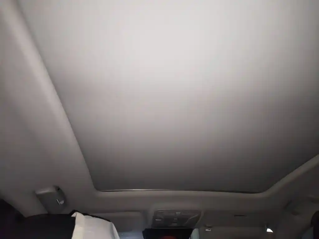 Hongqi HS5 2020 2019 2.0T Smart Connect Enjoy 4WD Edition
