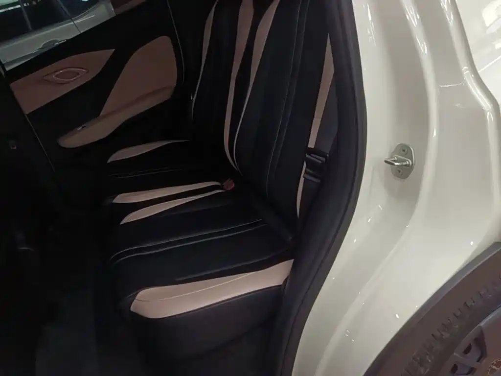BYD Seagull 2023 2023 Vitality Edition