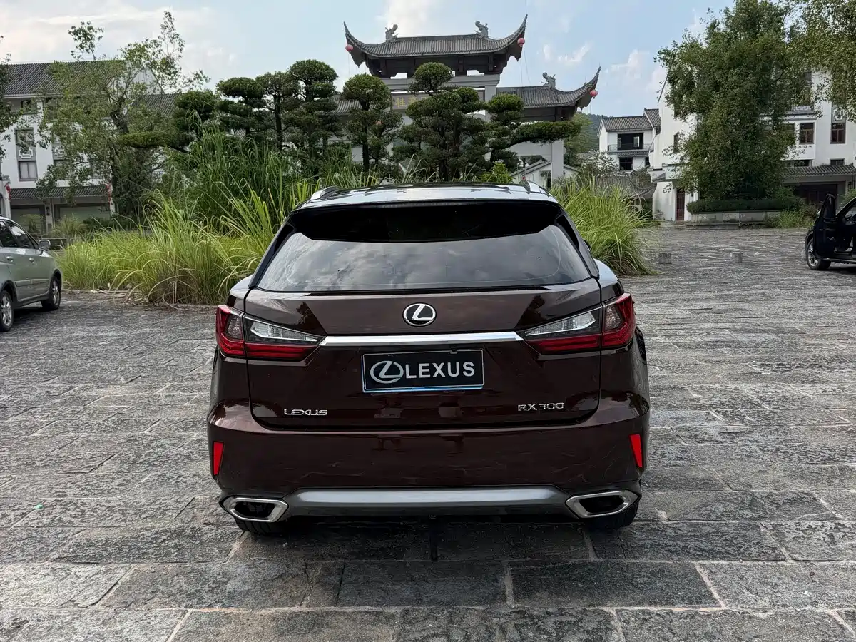 Фото 4 - Lexus RX