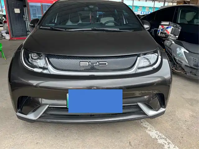BYD Dolphin 2022