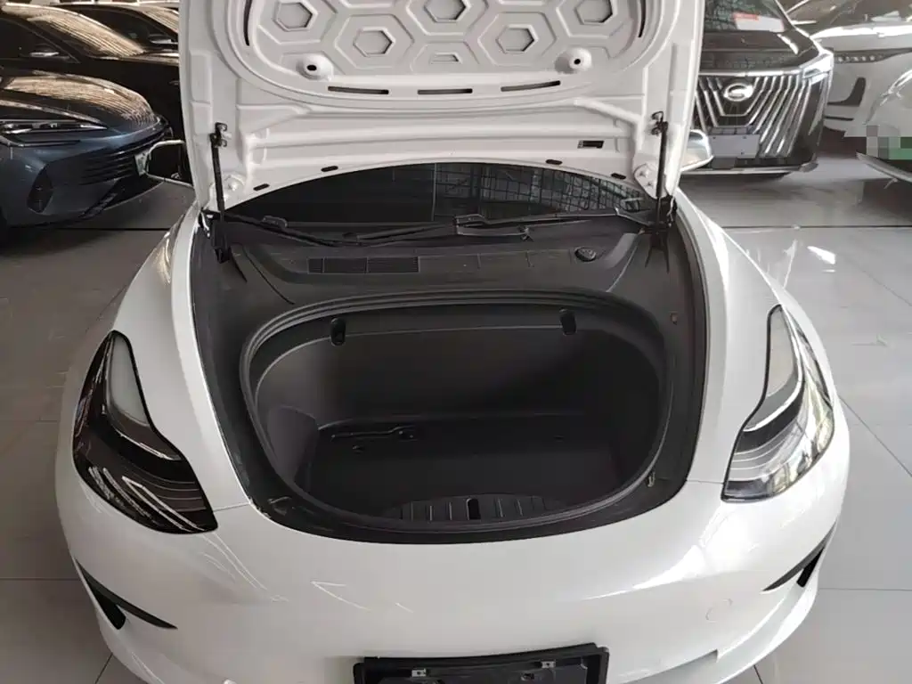 Tesla Model 3 2020 2020 Standard Range Rear-Wheel Drive Upgrade