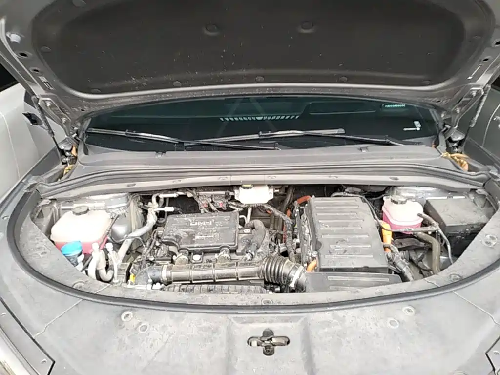 BYD Song L DM-i 2025 2025 Smart Drive 160km Premium