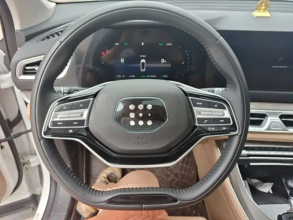 Landian E5 2024 2024 Glory Edition 100KM Premium Type 7-Seater