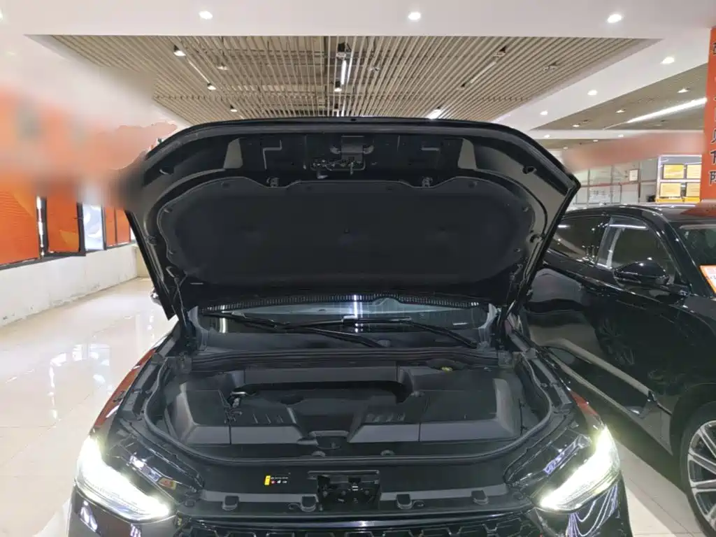 WEY VV6 2019 2019 2.0T 2WD Ultra Luxury China VI