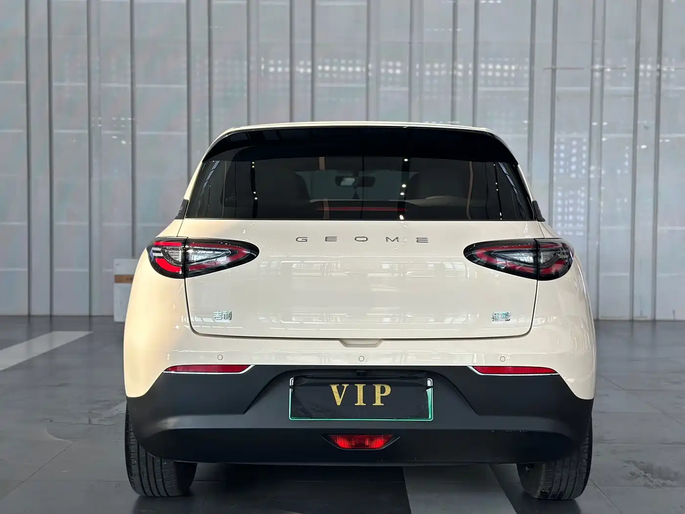 Geely Galaxy Starry Wish 2025 2025 310km Youth Edition