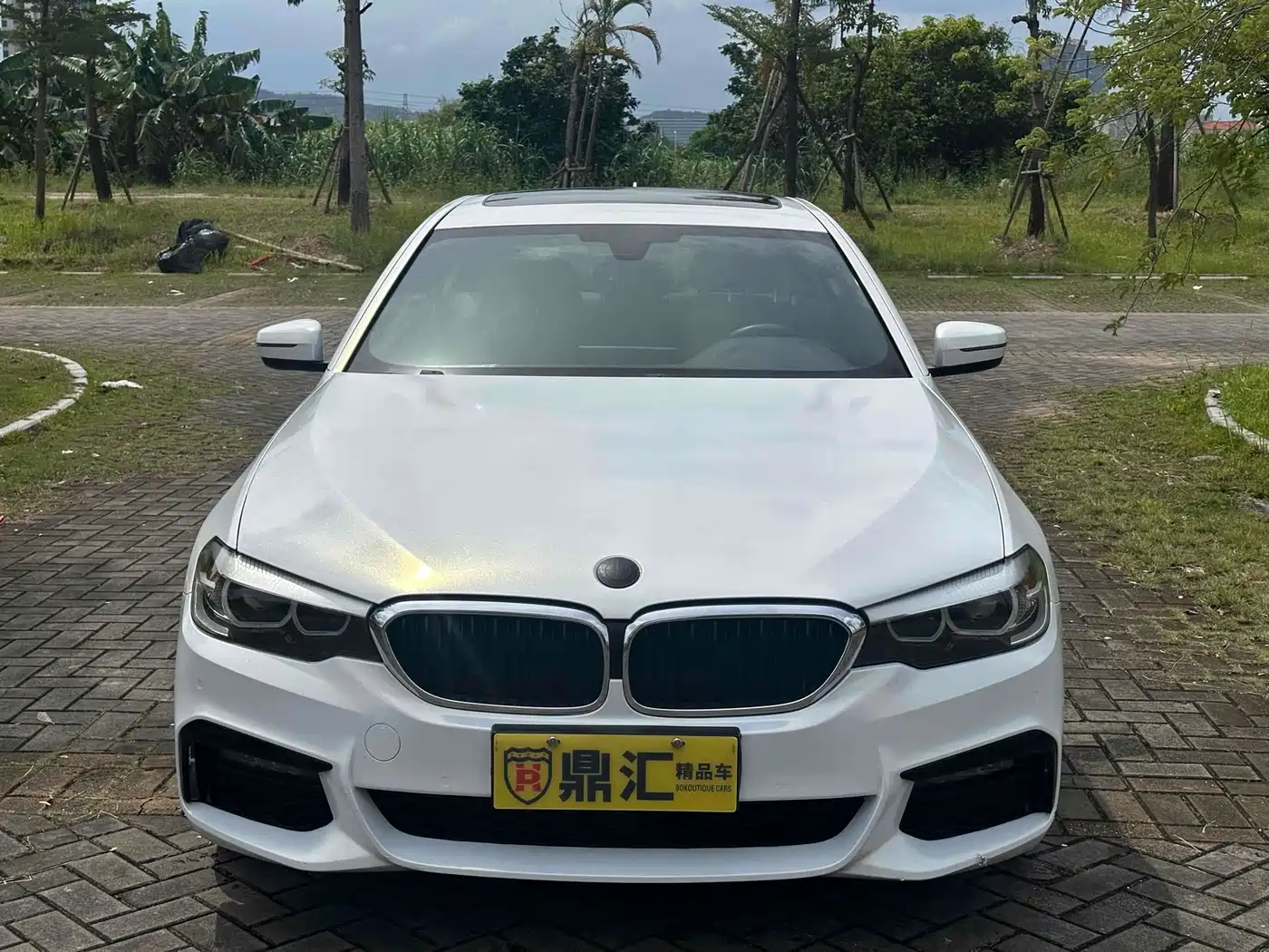 BMW 5 Series 2019 530Li Leading M Sport Package фото 2