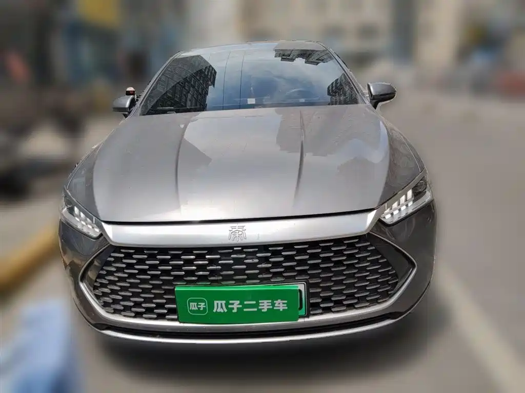 BYD Qin PLUS 2024 Glory Edition DM-i 55KM Leading фото 3
