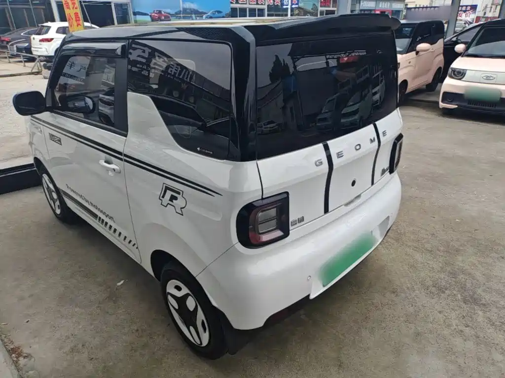 Geely Galaxy Panda 2025 2025 Panda mini 210km Vitality Bear