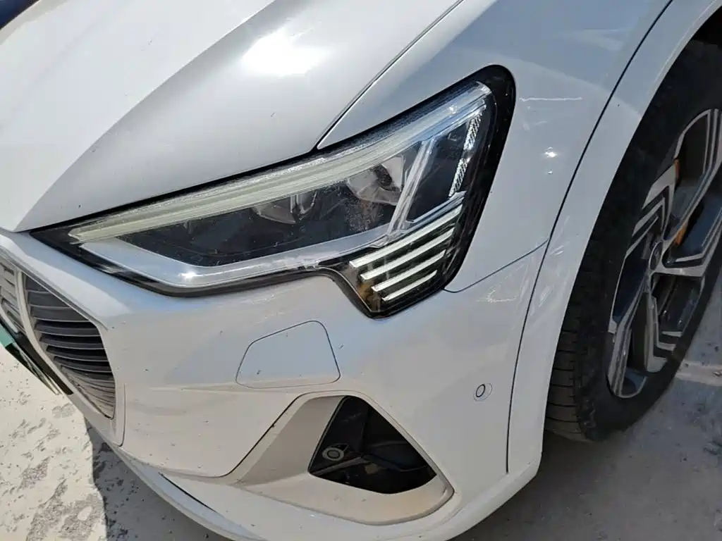 Audi e-tron 2023 2021 50 quattro Exclusive Selection