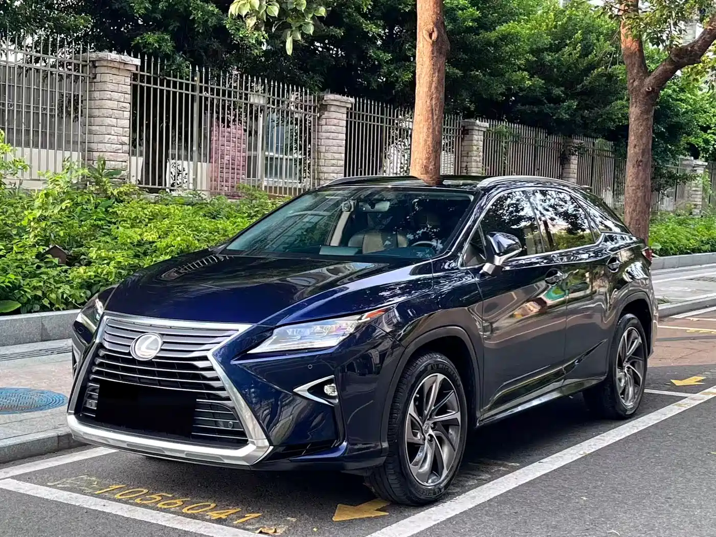 LEXUS RX