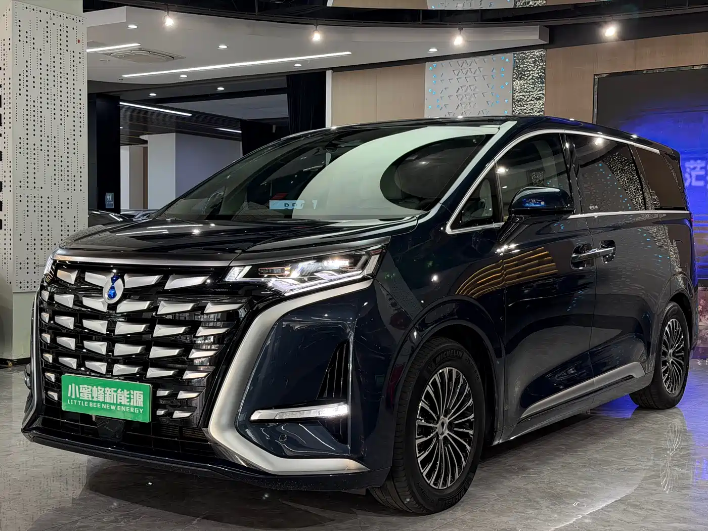 Denza D9 2022 DM-i 970 All-Wheel Drive Honor Edition