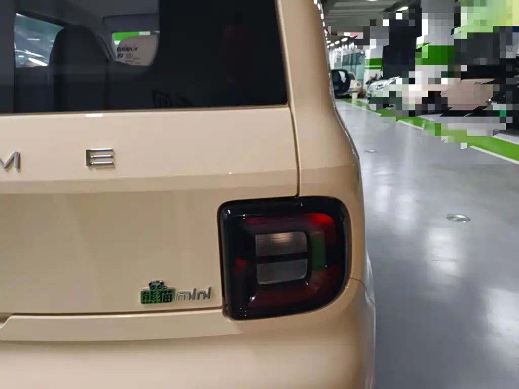 Geely Galaxy Panda 2025 2025 Panda mini 210km Vitality Bear