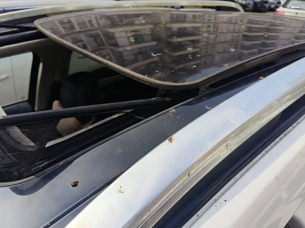 Фото 6 - Ford Edge