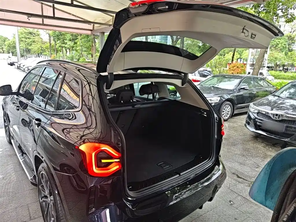 BMW X3 2022 xDrive30i Leading M Night Package фото 19