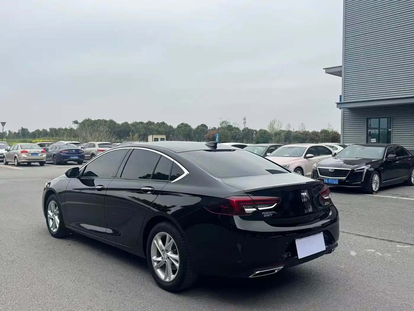 Buick Regal 2024 25T Ultra Comfort Edition фото 13