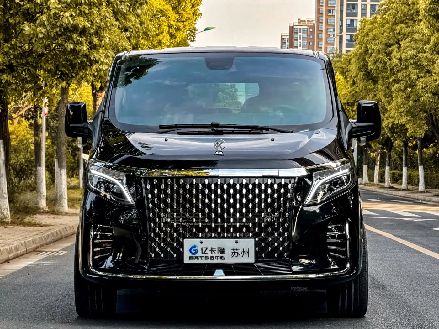 Ford Tourneo 2024 Model 2.0T Auto Supreme Plus Edition фото 2
