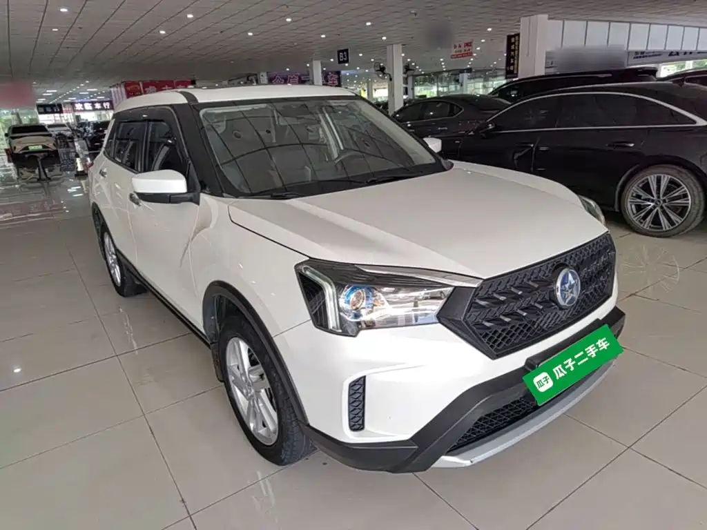 2021 Venucia T60