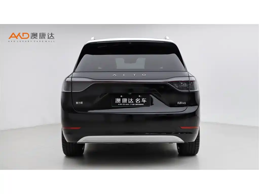 AITO Wenjie AITO M9 2024 Range Extender Max Edition 42kWh 6-seater фото 4