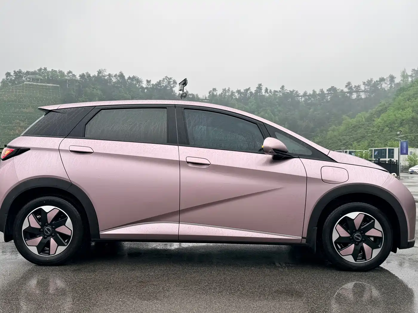 Фото 3 - BYD Dolphin
