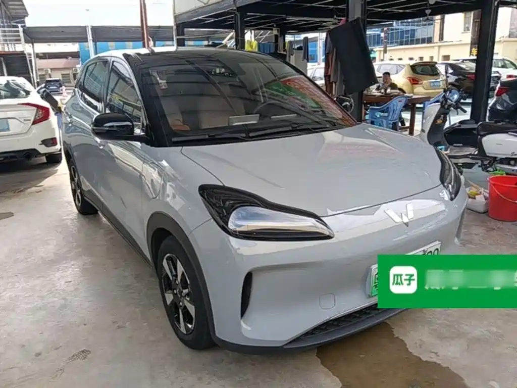 Фото 4 - Wuling Motors Wuling Binguo PLUS