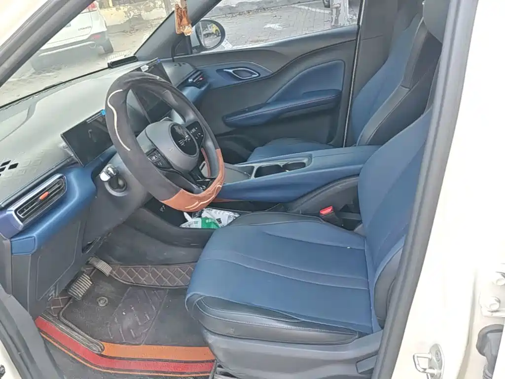 BYD Seagull 2026 2025 Smart Drive Edition 305km Vitality Version