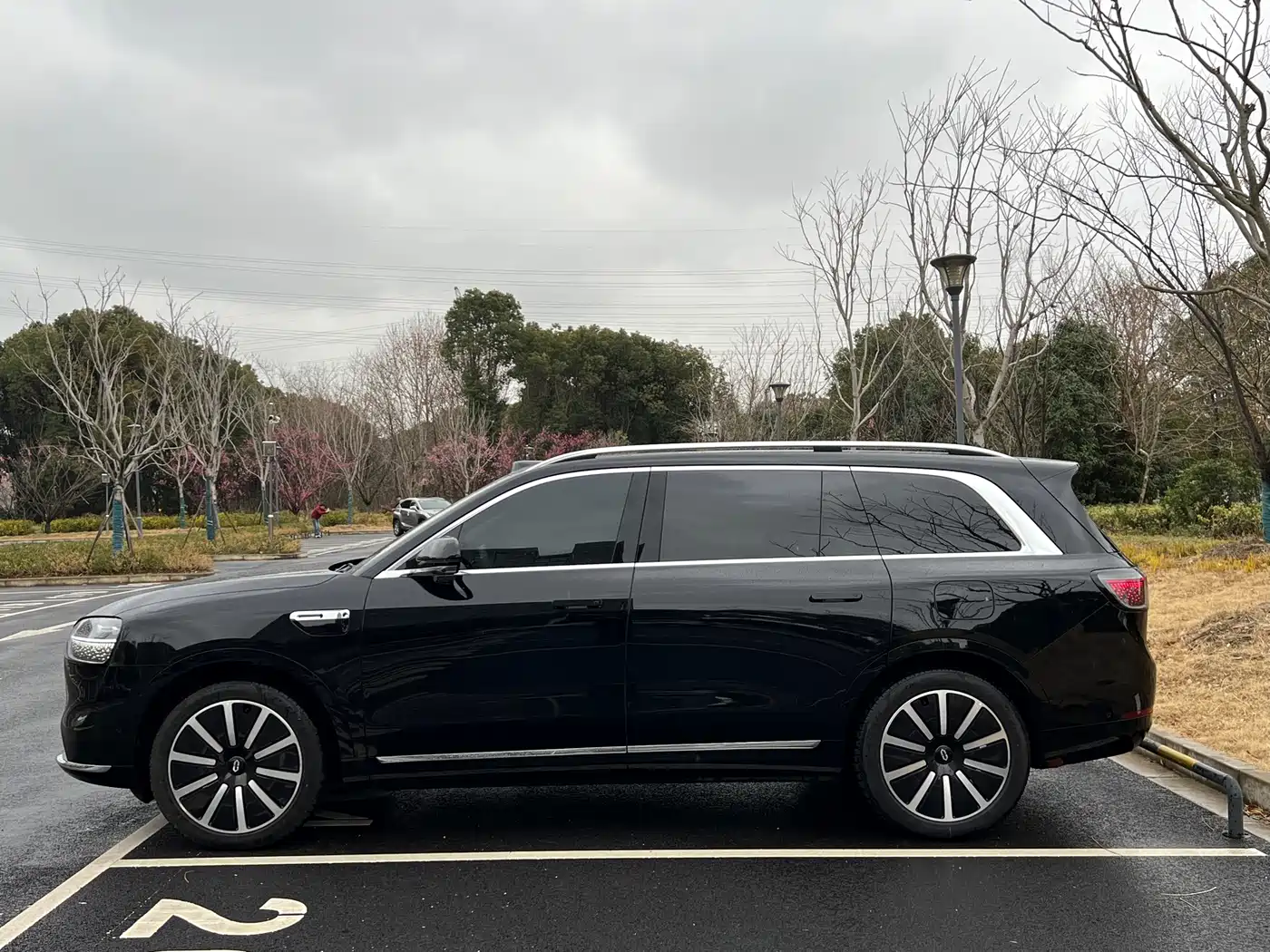 AITO Wenjie AITO M9 2025 Extended Range Ultra 52kWh 6-Seater фото 4