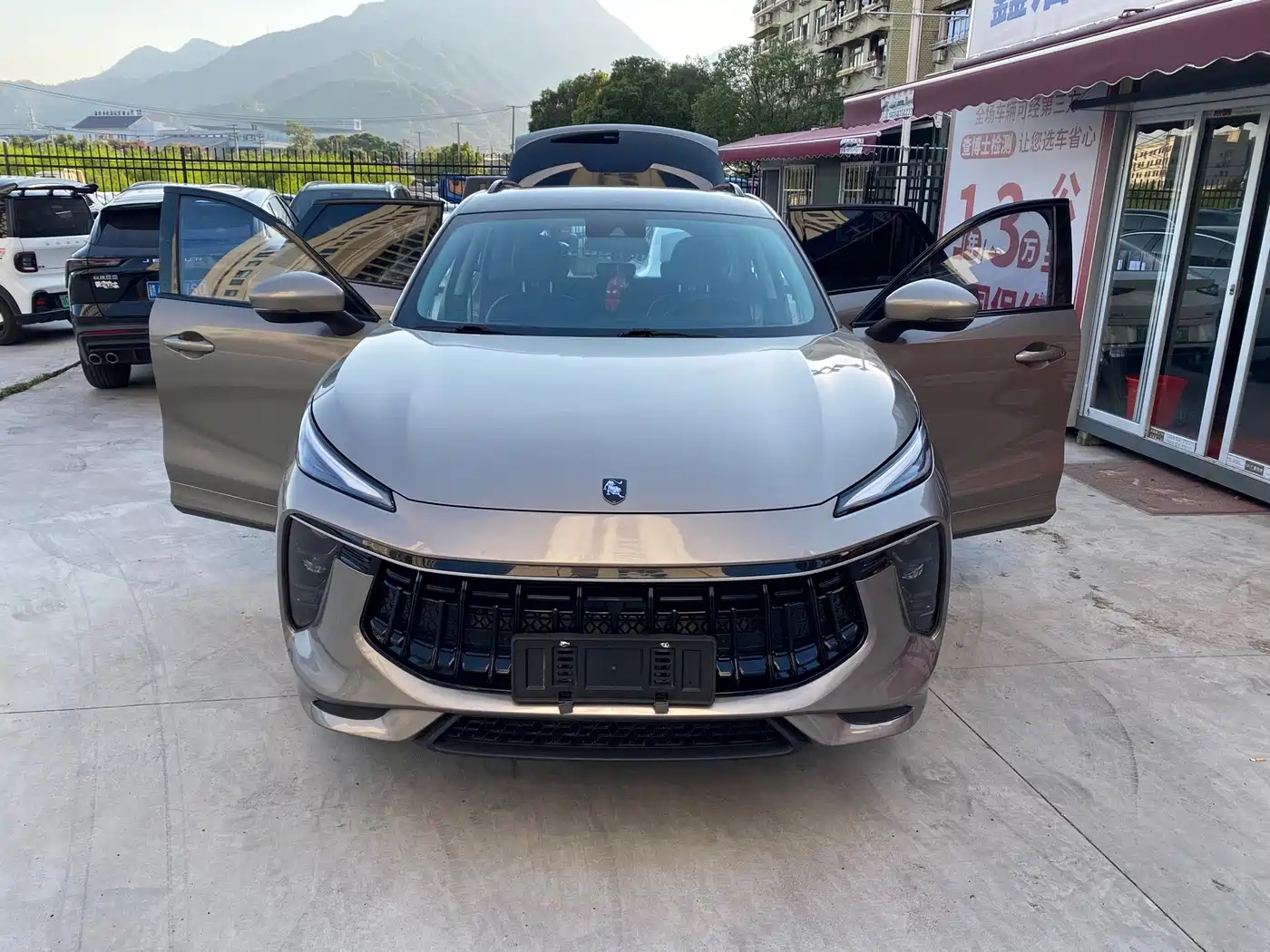 Dongfeng Fengxing Fengxing T5 EVO 2021 2021 1.5TD DCT Diamond Edition
