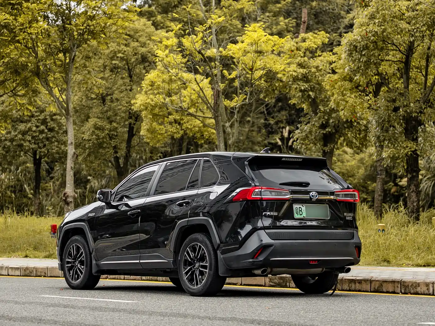 Toyota Wildlander New Energy 2021 High Performance 2.5L 2WD Power Edition фото 5