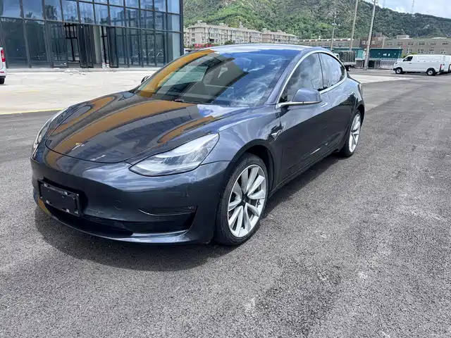 Tesla Model 3 (Import) 2019