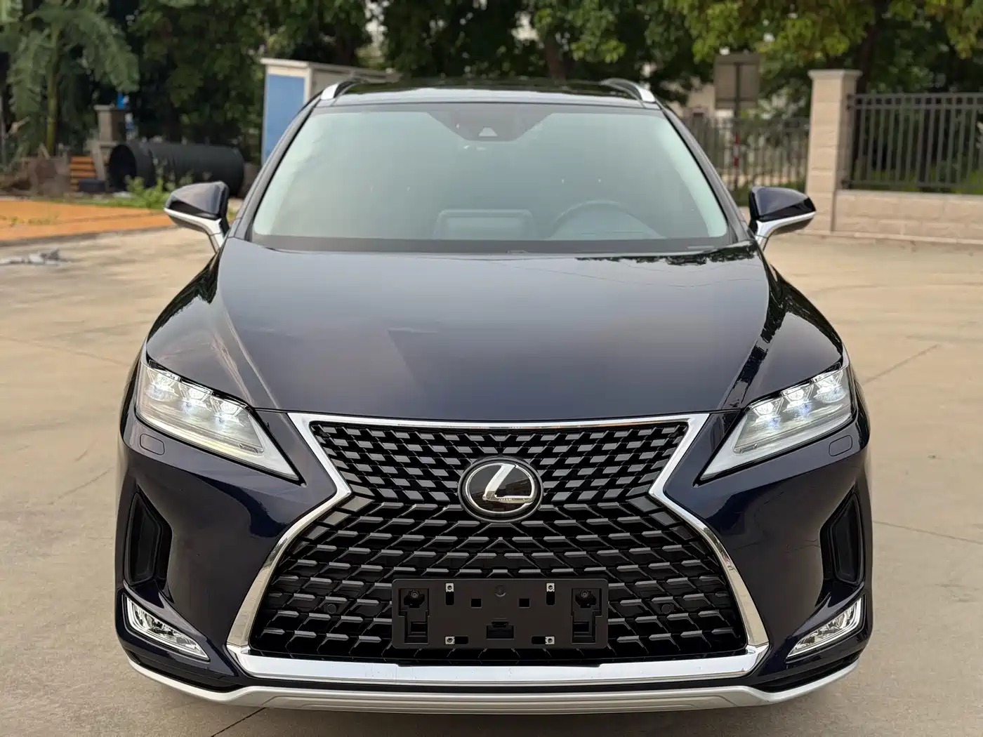 Lexus RX 2020 Facelift 300 AWD Elegance Edition фото 2