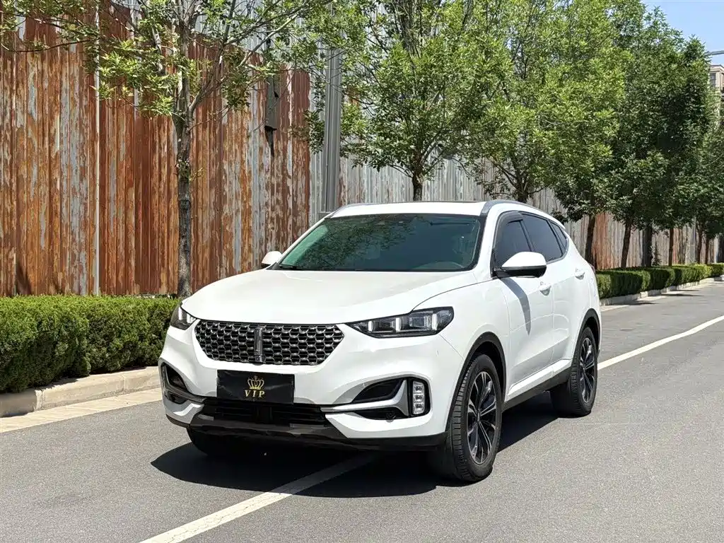 WEI PAI WEI BRAND VV6