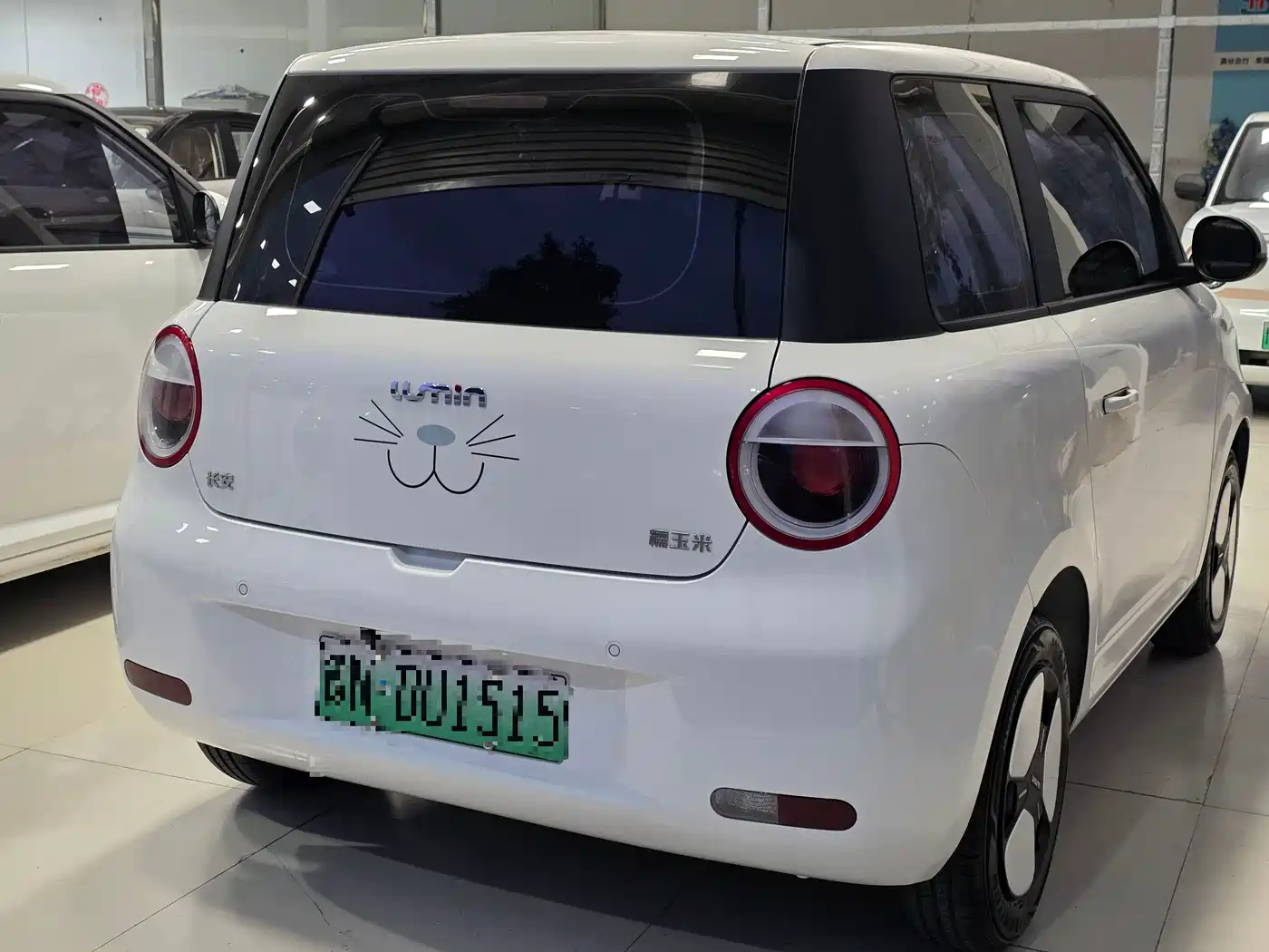 Changan Lumin 2024 2023 Model 205km Fragrant Edition