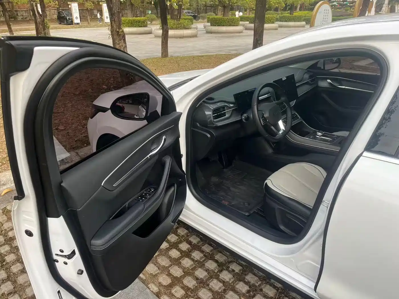 BYD Destroyer 05 2024 2024 Glory Edition DM-i 55KM Luxury