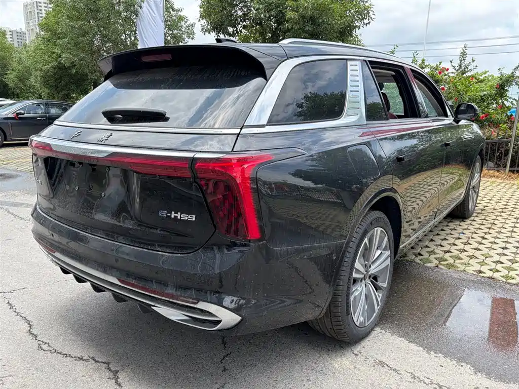 Hongqi E-HS9 2025 Model 690km Flag Premium Edition 6-Seater фото 5
