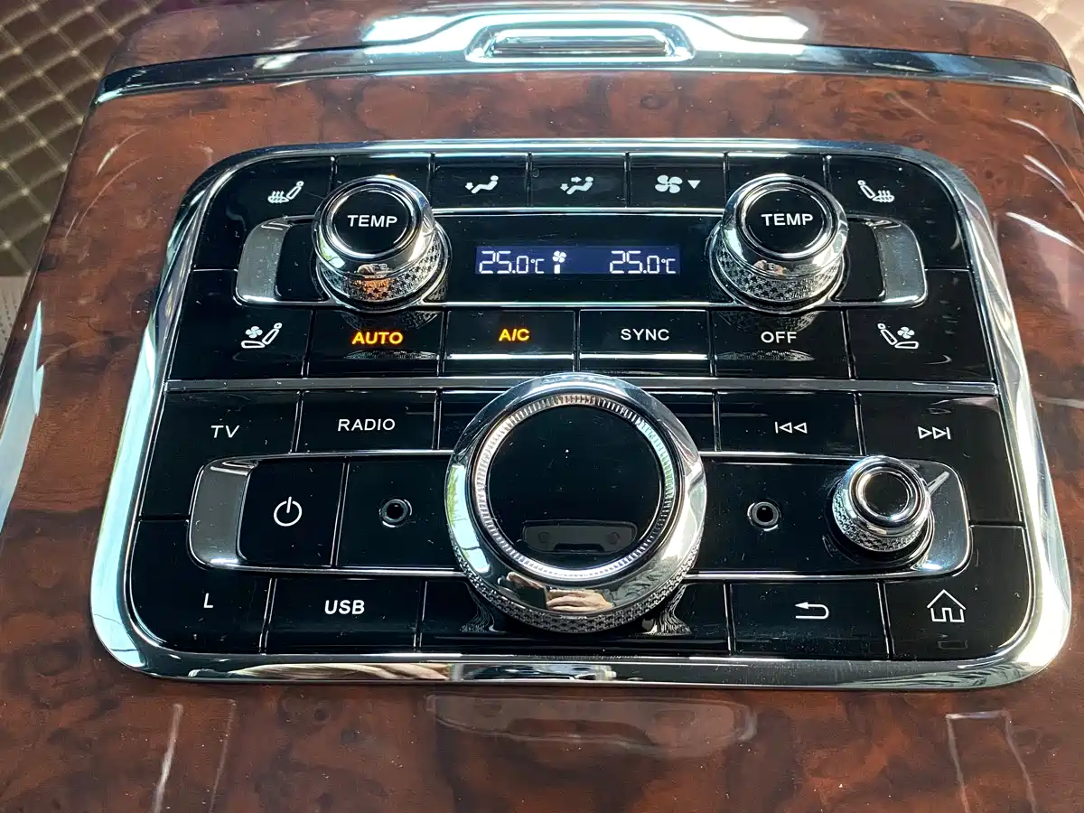 Hongqi Guoyao 2022 4.0T Premium Flagship 4-Seater фото 21
