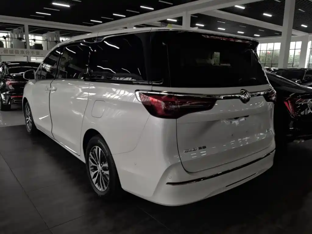 Фото 5 - Buick GL8