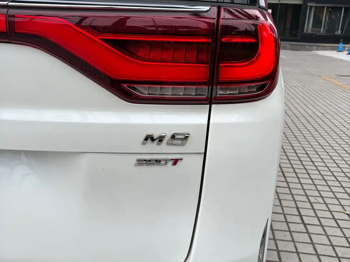 GAC Trumpchi Trumpchi M8 2021 Leading Show Series 390T Ultimate Edition фото 28