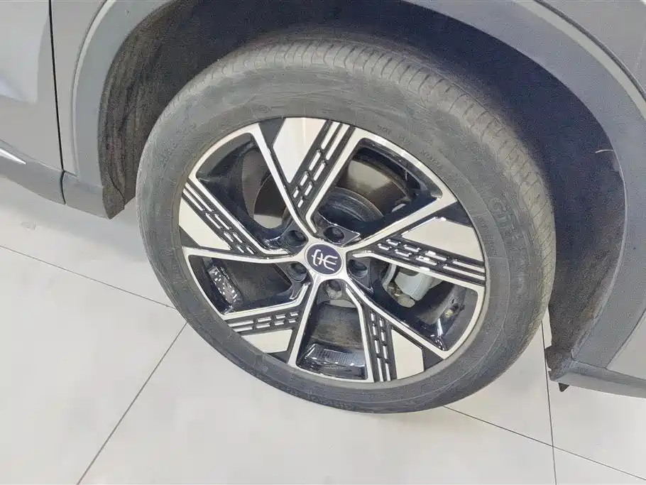 BYD Song Pro New Energy 2023 Champion Edition DM-i 110KM Excellence фото 6
