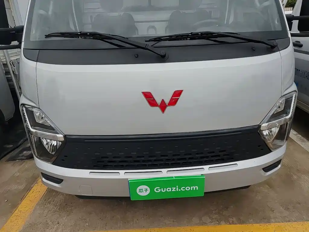 Wuling Motors Wuling Longka 2024 2023 2.0L Basic Model