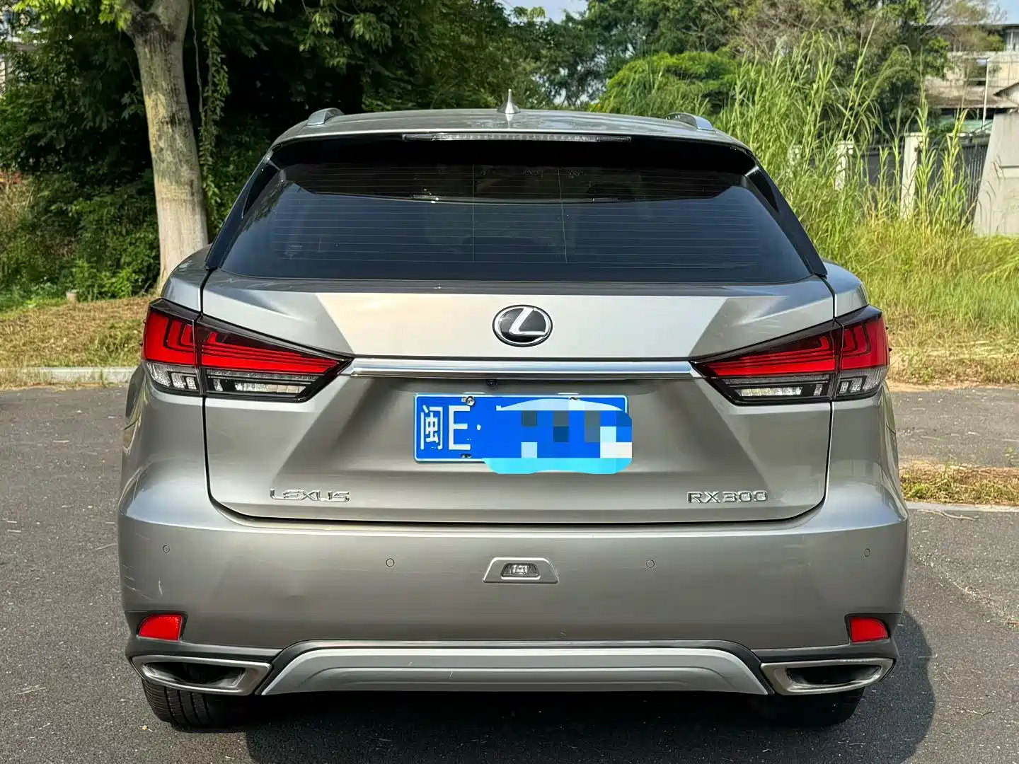 Фото 8 - Lexus RX
