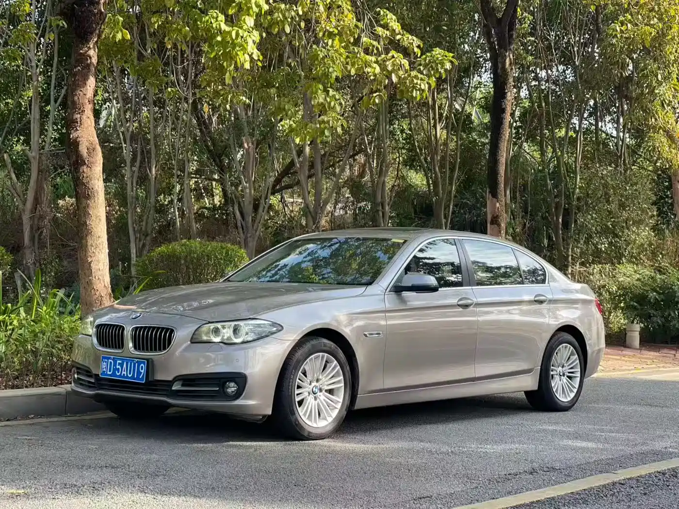 BMW 5 Series 2014 525Li Leading