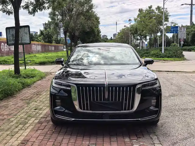 Hongqi H9 2020 2.0T Smart Connection Qi Chang Edition