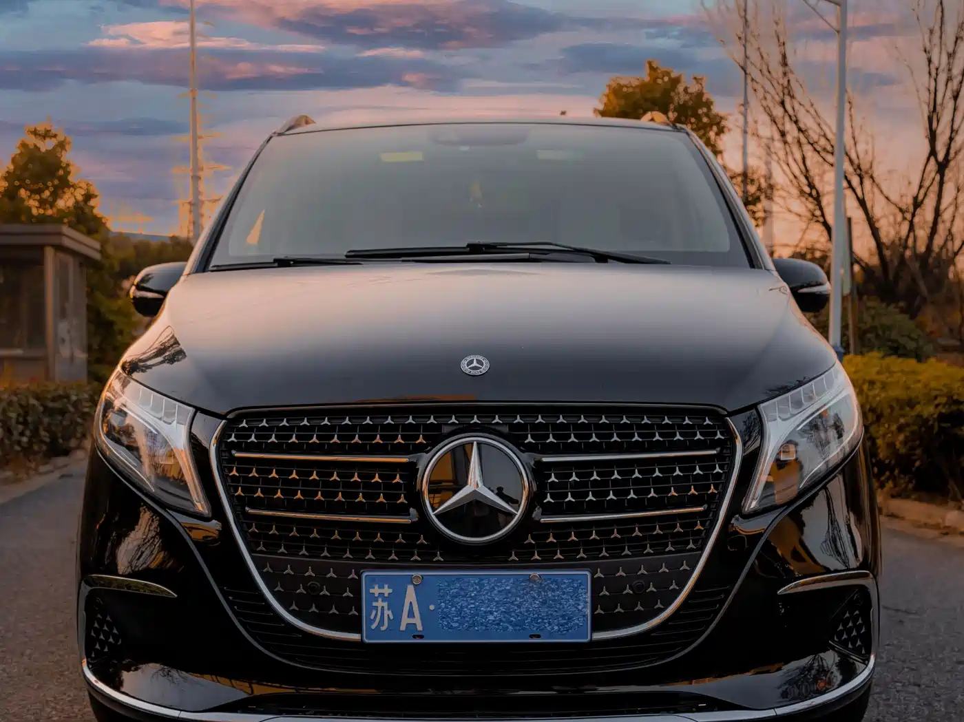Mercedes-Benz V-Class 2017 Model V 260 Pilot Edition фото 11