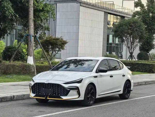 MG 6 2021