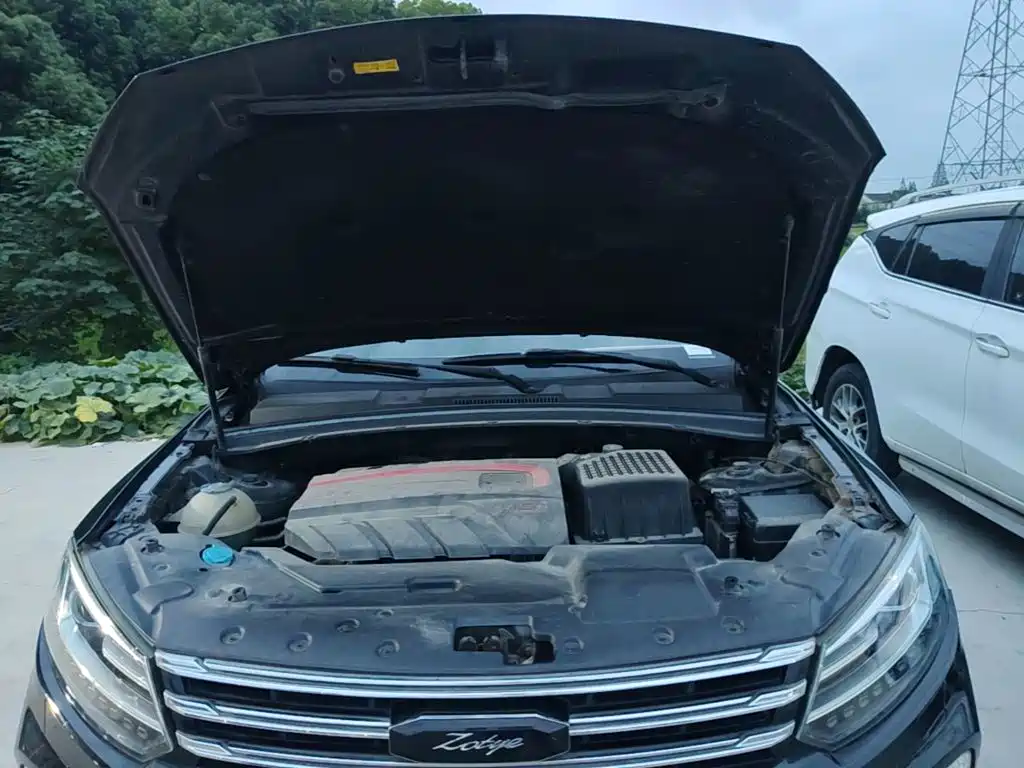 Фото 20 - Zotye T600 Coupe