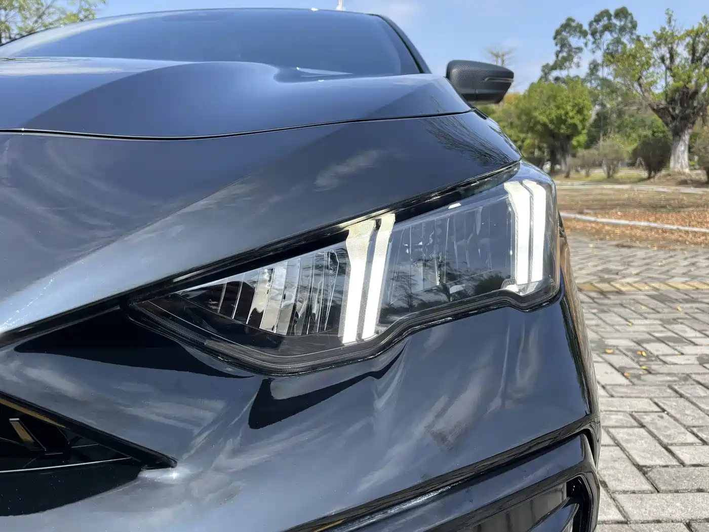 GAC TRUMPCHI SHADOW LEOPARD